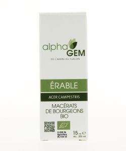 Erable (Acer campestre) bourgeon BIO, 15 ml